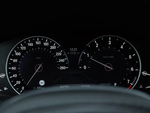 BMW X4 xDrive20i 2020 Benzine 25