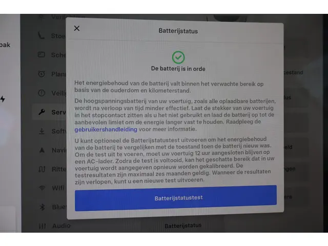 Tesla Model 3 Standard RWD Plus 60 kWh 2021 Elektrisch 6