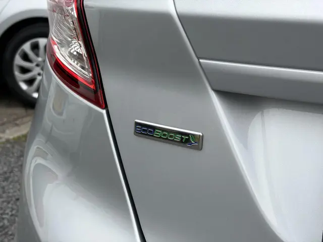 Ford Fiesta 1.0 Champion 2013 Benzine 31