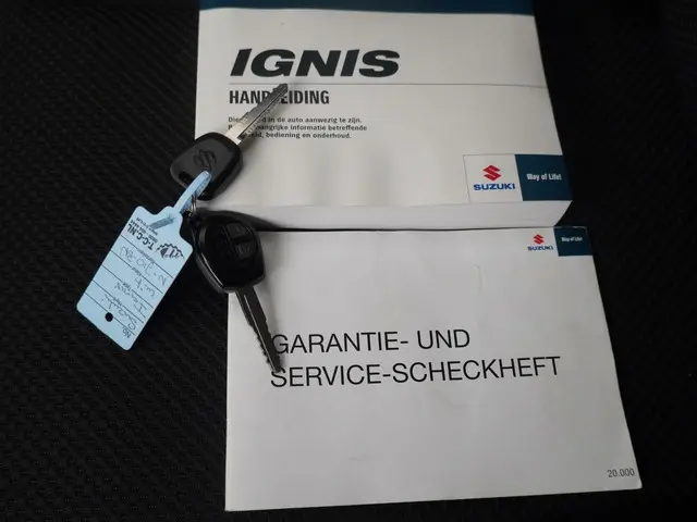 Suzuki Ignis 1.2 Select Intro 2017 Benzine 25