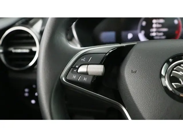 Škoda Fabia 1.0 TSI 115pk Selection DSG 2024 Benzine 20