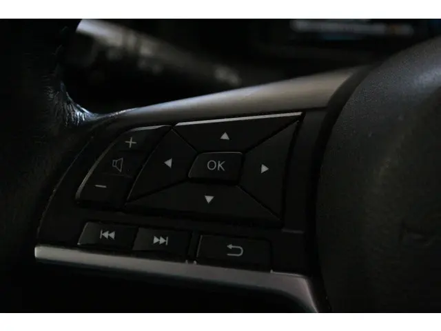 Nissan Leaf e+ N-Connecta 62 kWh 2021 Elektrisch 22