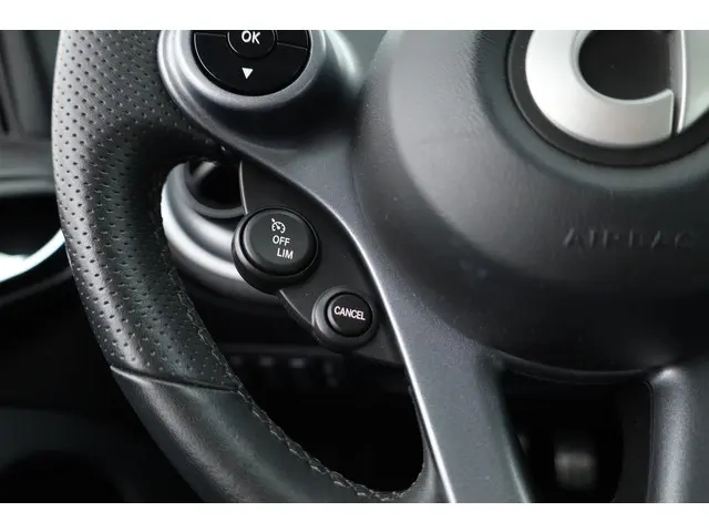 Smart Forfour 1.0 Passion Aut. 2016 Benzine 13