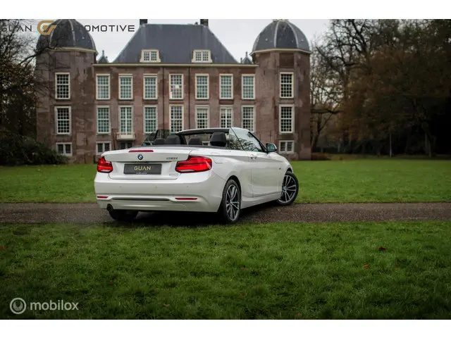 BMW 2 Serie Cabrio | 2018 Benzine 6