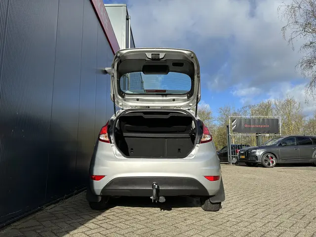 Ford Fiesta 1.0 EcoBoost Titanium | Trekhaak 2014 Benzine 26