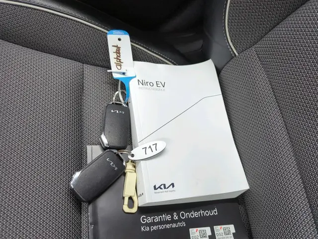 Kia e-Niro Aut. DynamicEdition 64kWh 2021 Elektrisch 13