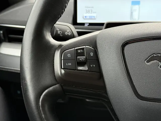 Ford Mustang Mach-E RWD 75 kWh 2021 Elektrisch 20