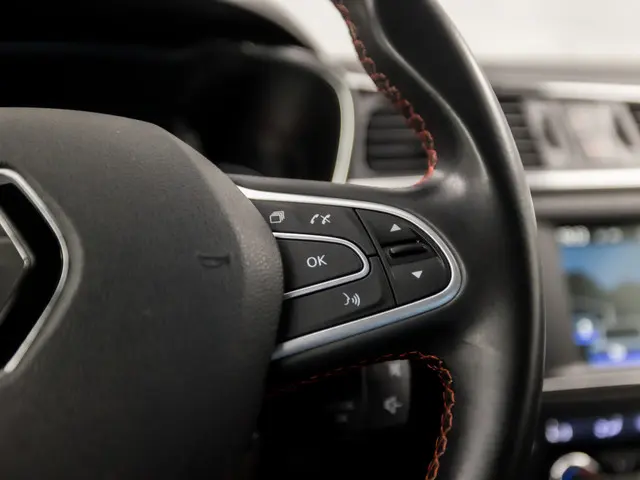 Renault Kadjar 1.2 TCe Sport Deluxe 2016 Benzine 22