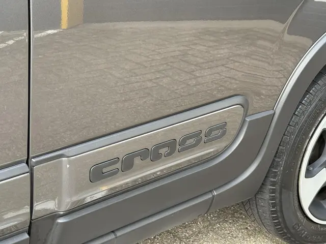 Fiat Panda 1.2 City Cross 2019 Benzine 8