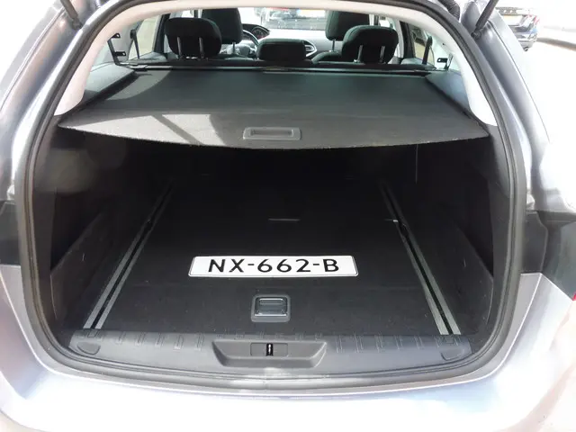 Peugeot 308 SW 1.2 PureTech Blue Lion 2017 Benzine 25