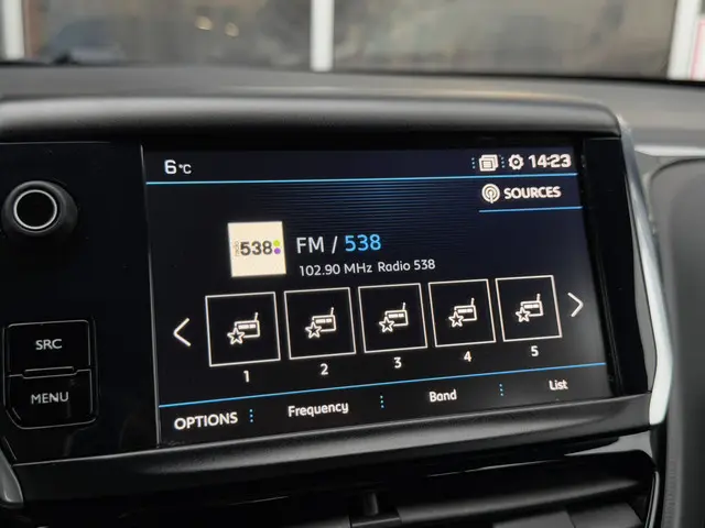 Peugeot 208 1.2 RIJKLAAR! Nieuwe Distributie 2019 Benzine 14