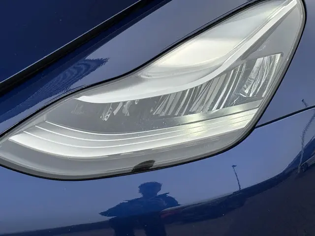 Tesla Model 3 Standard RWD Plus 60 kWh 2020 Elektrisch 36