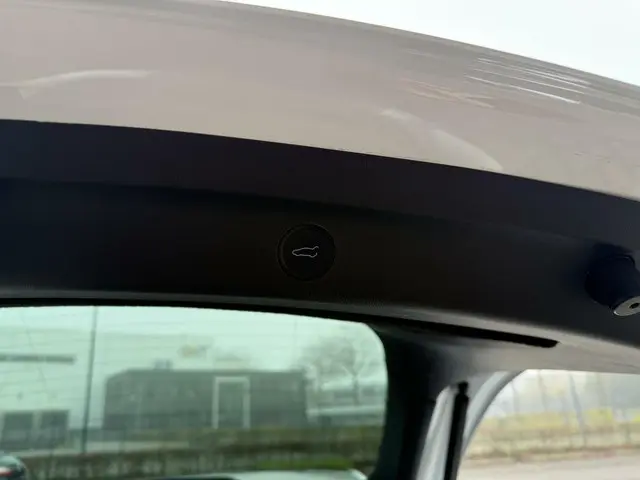 Tesla Model Y Performance AWD 75 kWh 2022 Elektrisch 14