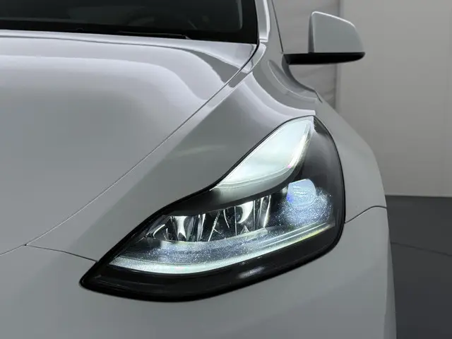 Tesla Model Y Long Range AWD 75 kWh 2022 Elektrisch 14