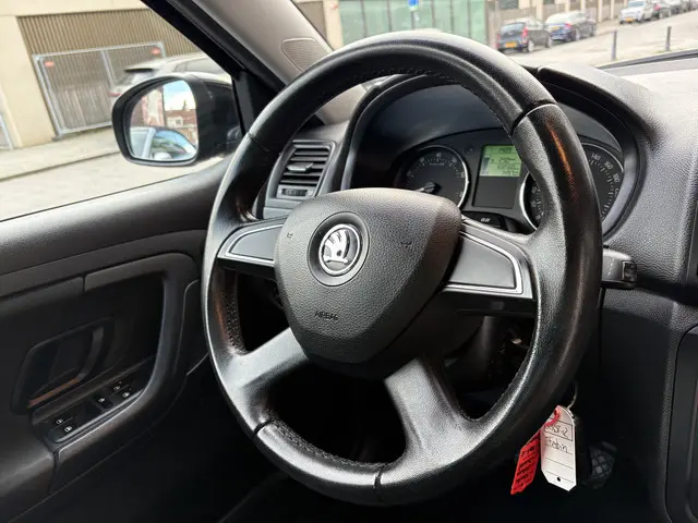 Škoda Fabia 1.2 TSI Fresh 2013 Benzine 10