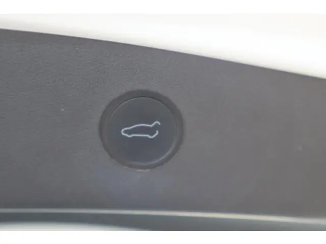 Tesla Model 3 Standard RWD Plus 60 kWh 2021 Elektrisch 20