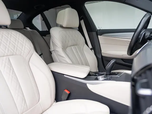 BMW 5 Serie Sedan 520i 2019 Benzine 10