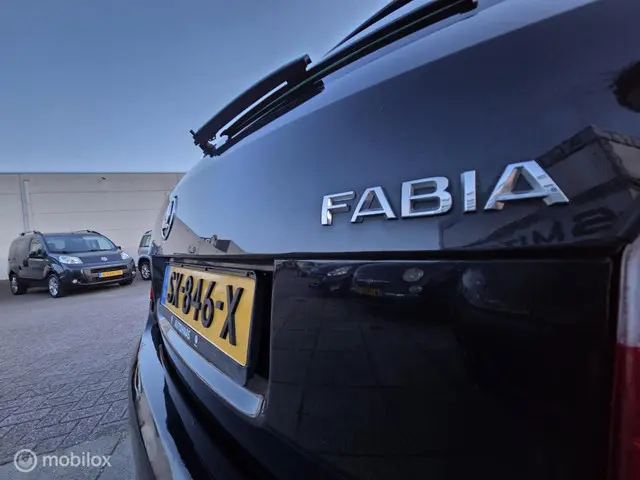 Škoda Fabia Combi 1.2 Go AC ZEER MOOI 2014 Benzine 20