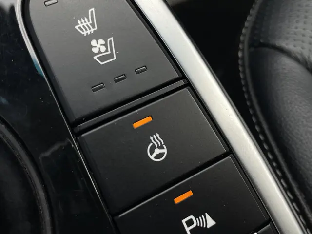 Kia e-Niro ExecutiveLine 64 kWh 2019 Elektrisch 27