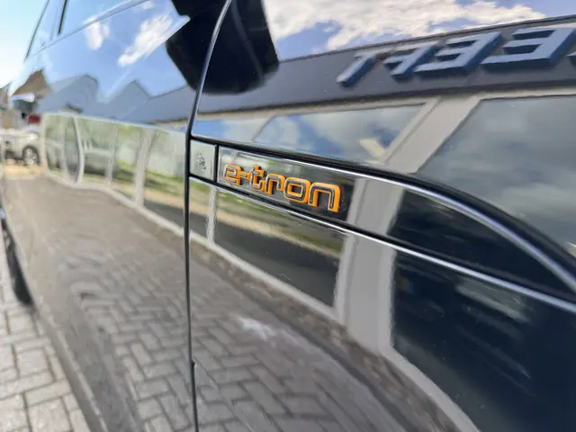 Audi e-tron 55 quattro S edition 2022 Elektrisch 10