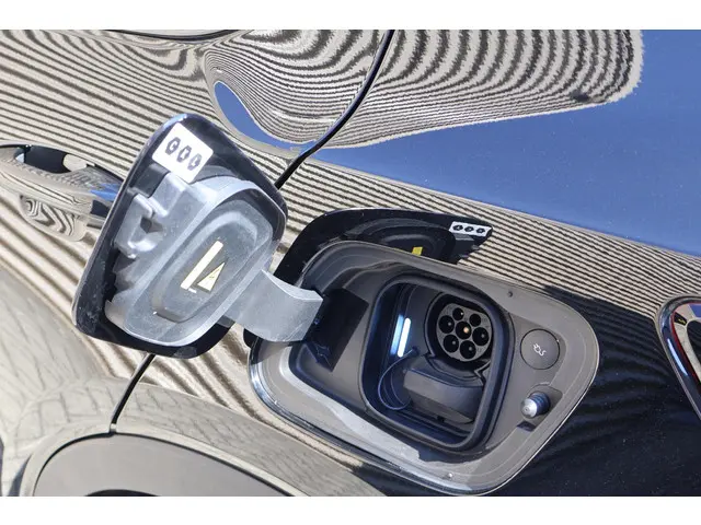 Volvo C40 Recharge Plus 69 kWh 2023 Elektrisch 14