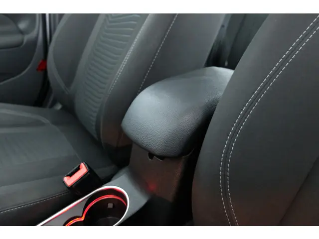 Ford Fiesta 1.0 Titanium 2014 Benzine 18