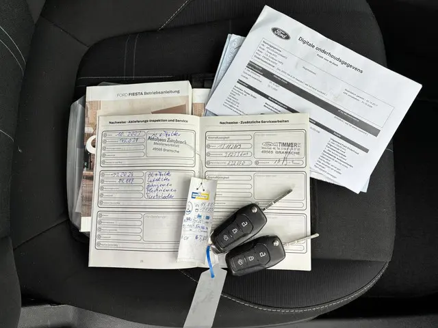 Ford Fiesta HELAAS VERKOCHT!!! 2017 Benzine 24