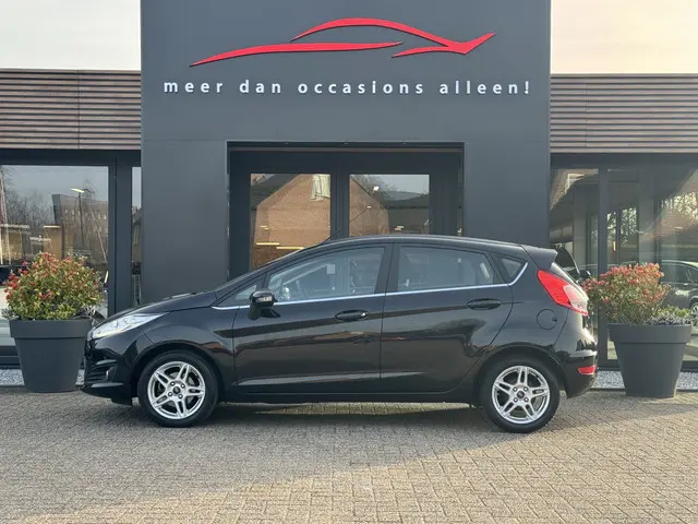 Ford Fiesta 1.0 EcoBoost 100pk Titanium 2014 Benzine 4