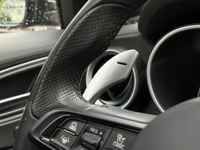 Alfa Romeo Stelvio 2.0 T AWD Veloce 2022 Benzine 24