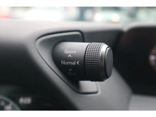 Lexus UX 300e Business 54 kWh 2021 Elektrisch 33