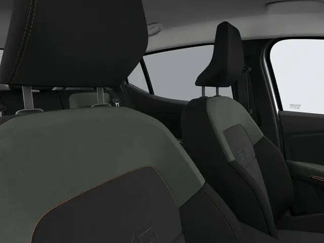 Dacia Sandero Stepway Limited Edition 2025 Benzine 15