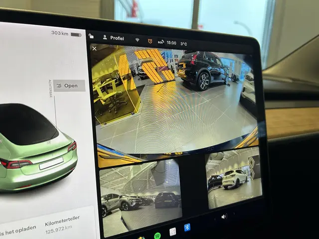 Tesla Model 3 Standard RWD Plus 60 kWh 2020 Elektrisch 10