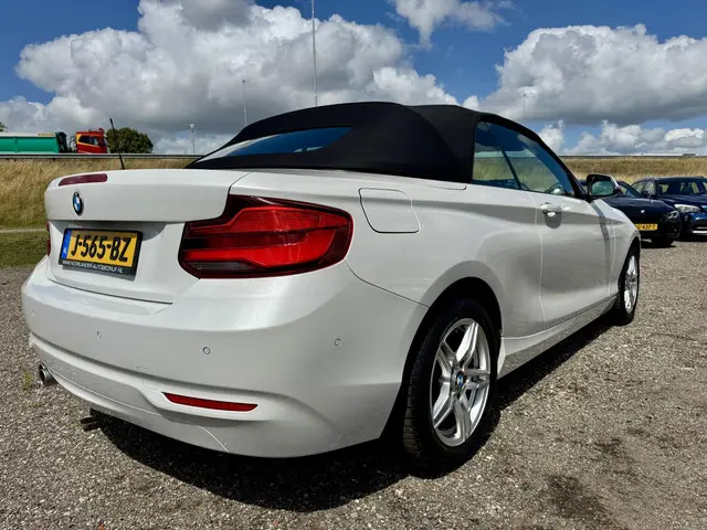 BMW 2 Serie Cabrio 220i Executive 2017 Benzine 10