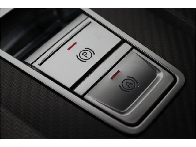 Audi RS6 Avant 4.0 TFSI Quattro 600 PK 2020 Benzine 75