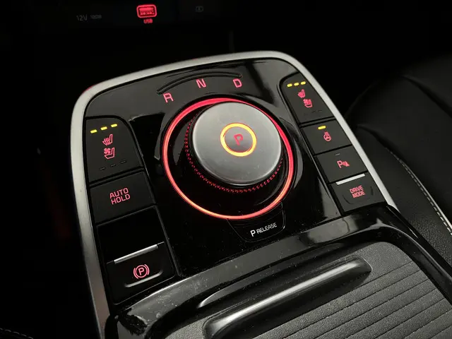 Kia e-Niro ExecutiveLine 64 kWh 2020 Elektrisch 10