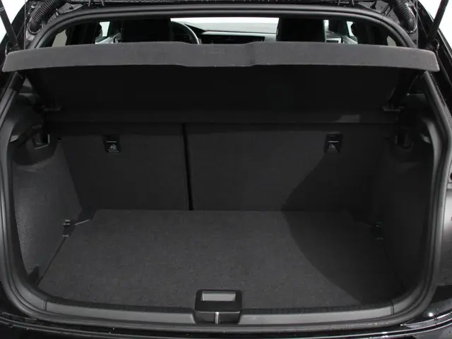 Volkswagen Polo 2.0 TSI GTI Automaat 2024 Benzine 37