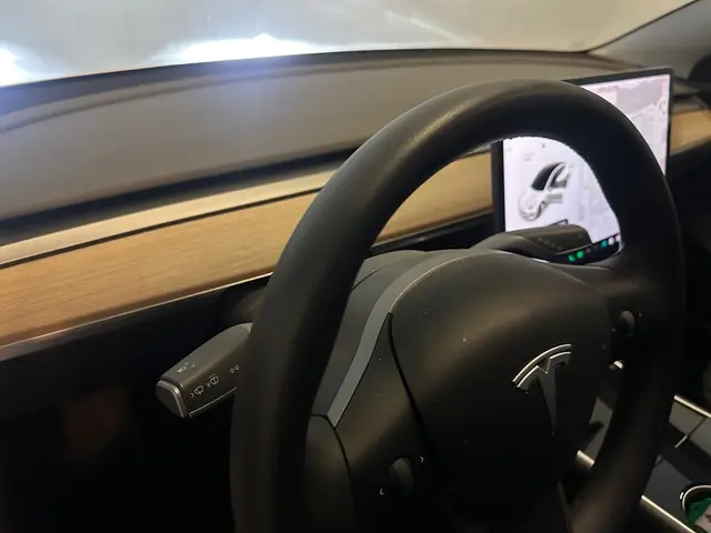Tesla Model 3 Standard RWD Plus 60 kWh 2020 Elektrisch 13