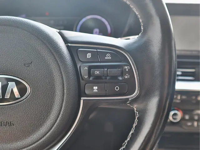 Kia e-Niro ExecutiveLine 64 kWh 2020 Elektrisch 14