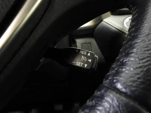 Toyota RAV4 2.0 Executive Business 4WD 2014 Benzine 14