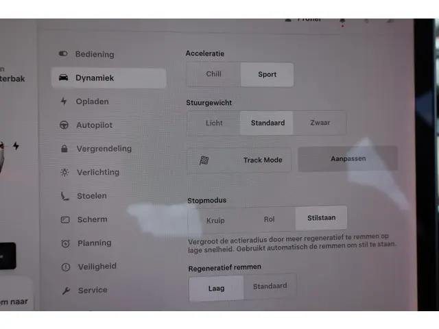 Tesla Model 3 Performance AWD 75 kWh 2019 Elektrisch 29