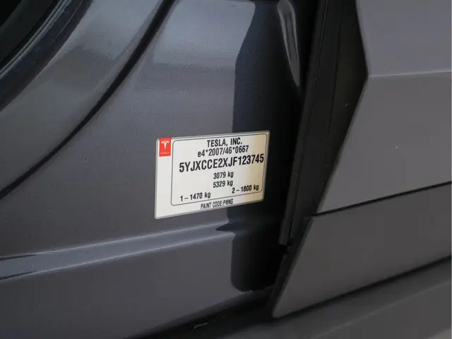 Tesla Model X 100D AWD [ 3-Fase ] 2018 Elektrisch 33
