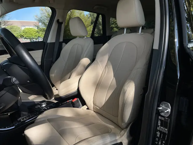 BMW X1 xDrive20i High Executive 2017 Benzine 15