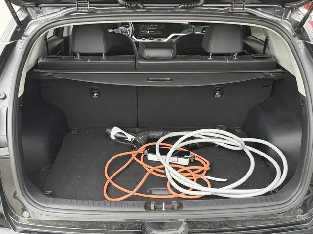 Kia e-Niro Edition 64 kWh 2021 Elektrisch 12