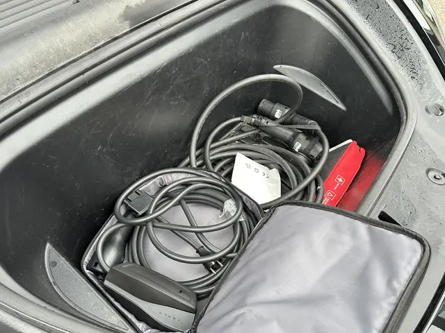 Tesla Model Y Long Range AWD 75 kWh 2022 Elektrisch 26