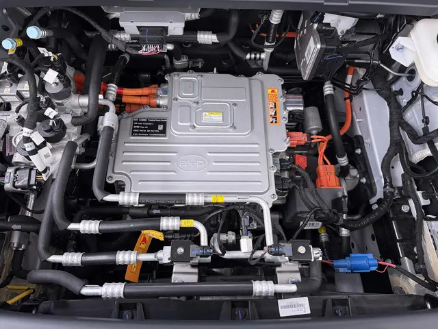 BYD ATTO 2 Boost 45 kWh 2024 Elektrisch 14