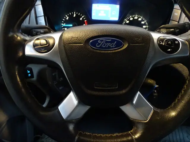Ford Transit 310 2.2 TDCI L2H2 Trend 2016 Diesel 12