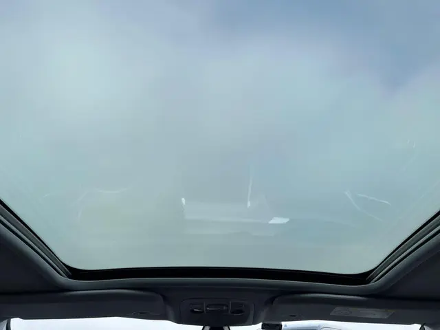 Peugeot 2008 1.2 PureTech Style 2015 Benzine 10