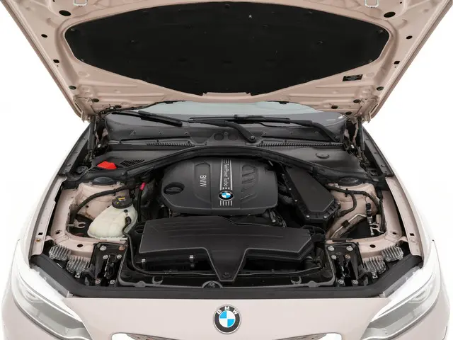 BMW 2 Serie Coupé 220d High Executive 2014 Diesel 25