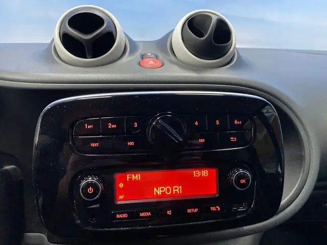 Smart Fortwo 1.0 Business Solution 2018 Benzine 11