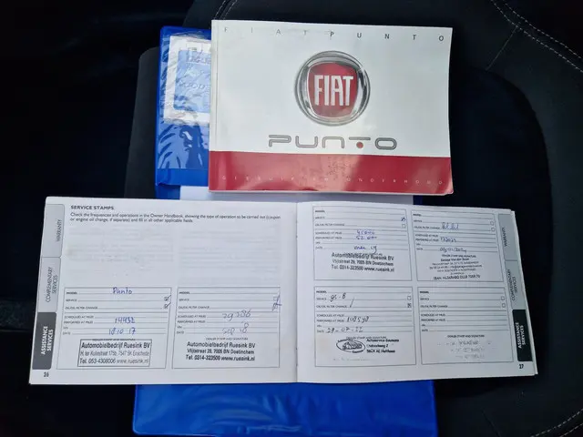 Fiat Punto Evo 0.9 TwinAir Lounge 2017 Benzine 12